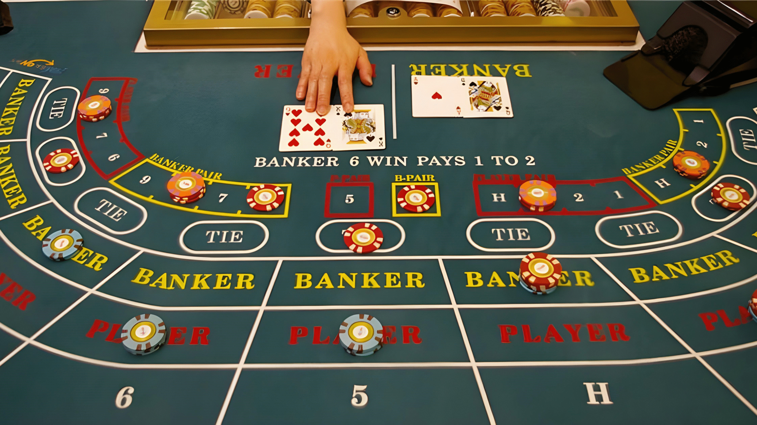 8155 bet app 