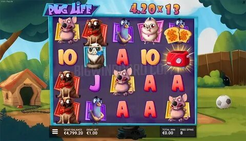 blaze para imprimir 