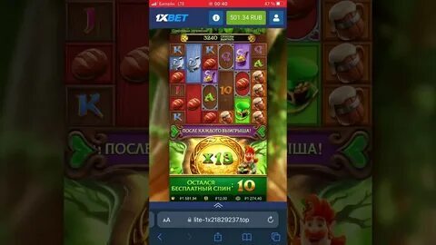 onde a stake opera 